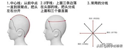 頭部七條基準線|頭型七條基準線雙旋真人示範